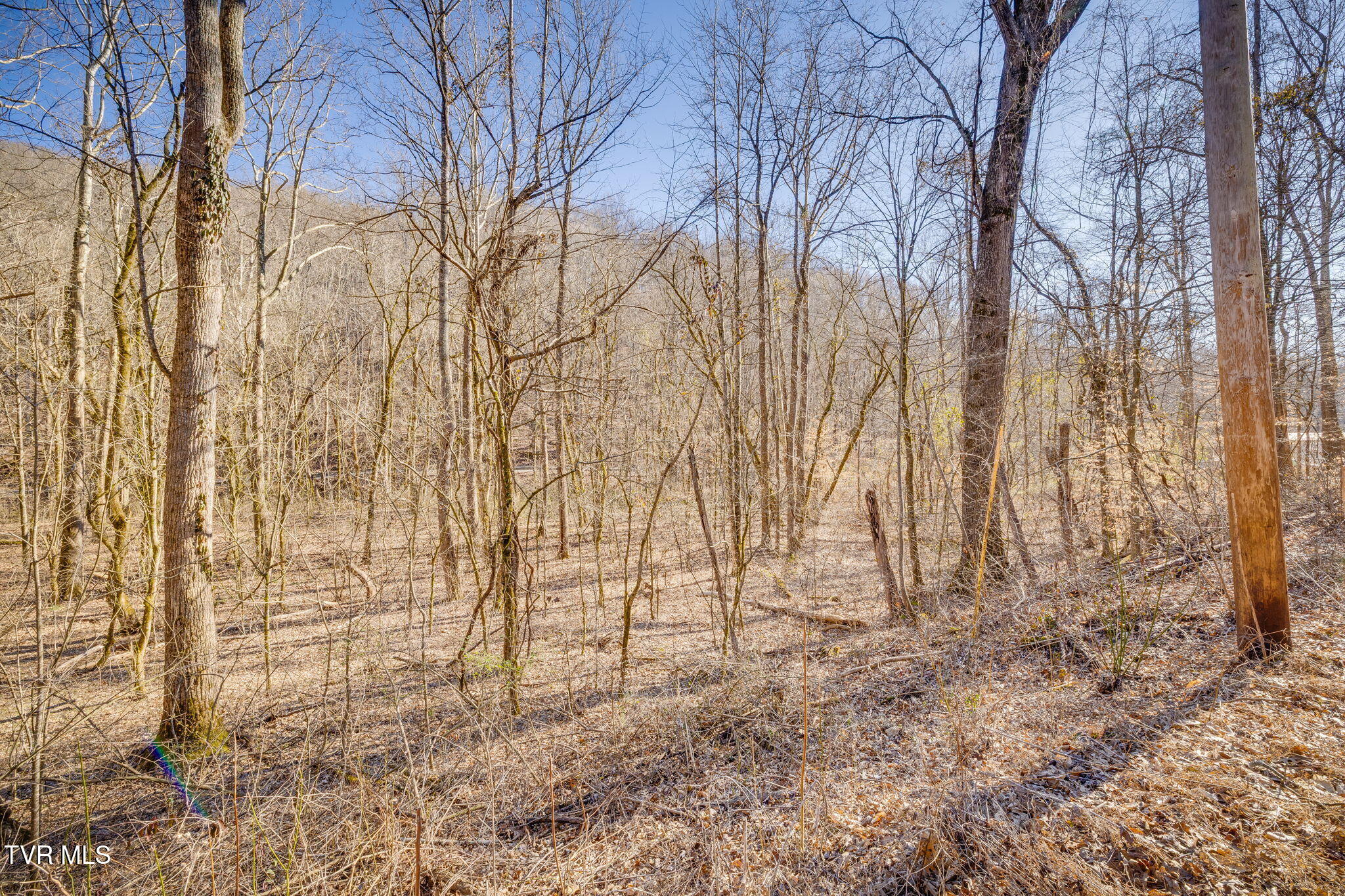 Tbd Long Creek Road, Unit 3 & 4 Del Rio, TN 37727 - Photo 5 of 26 104