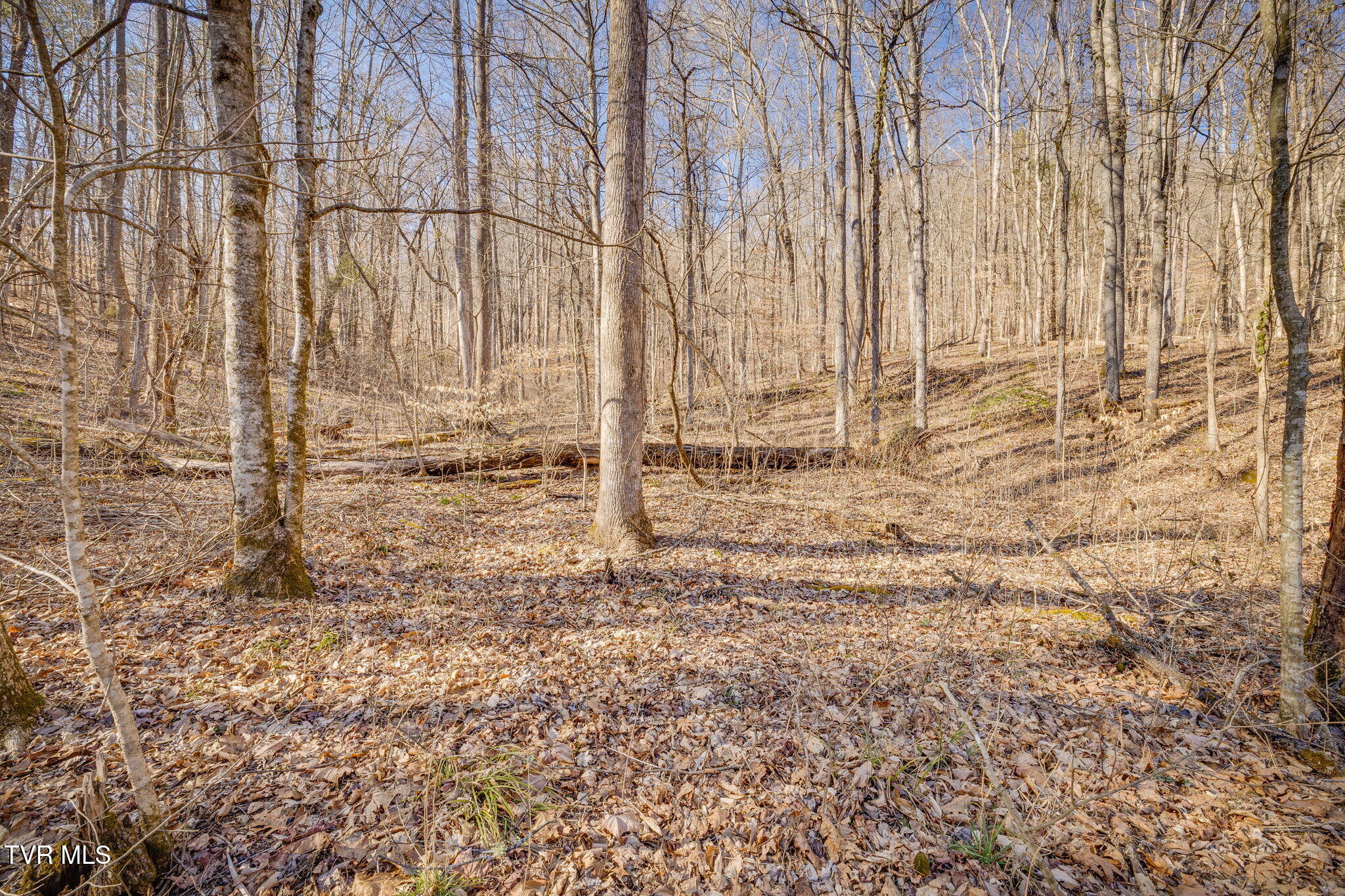 Tbd Long Creek Road, Unit 3 & 4 Del Rio, TN 37727 - Photo 8 of 26 107