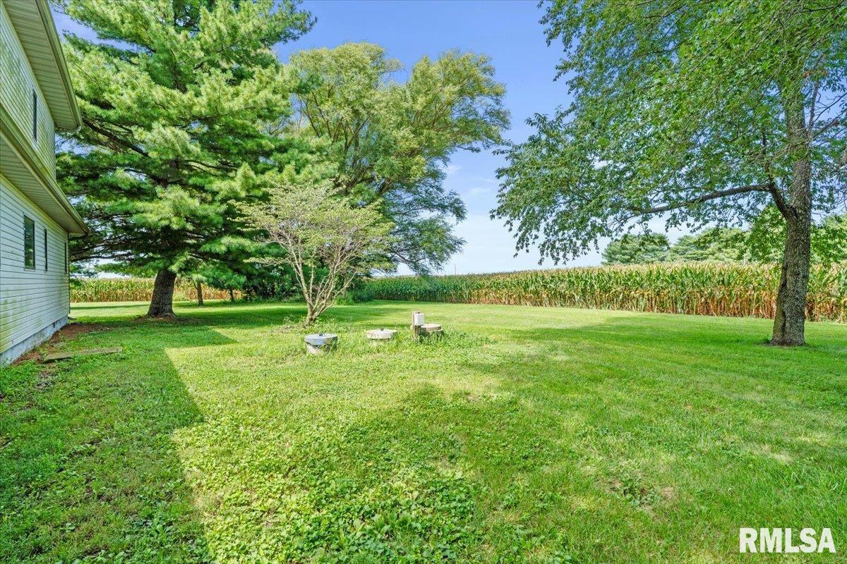 34187 East 6th Road Pawnee, IL 62558 - Photo 30 of 40 Gallery Image 30