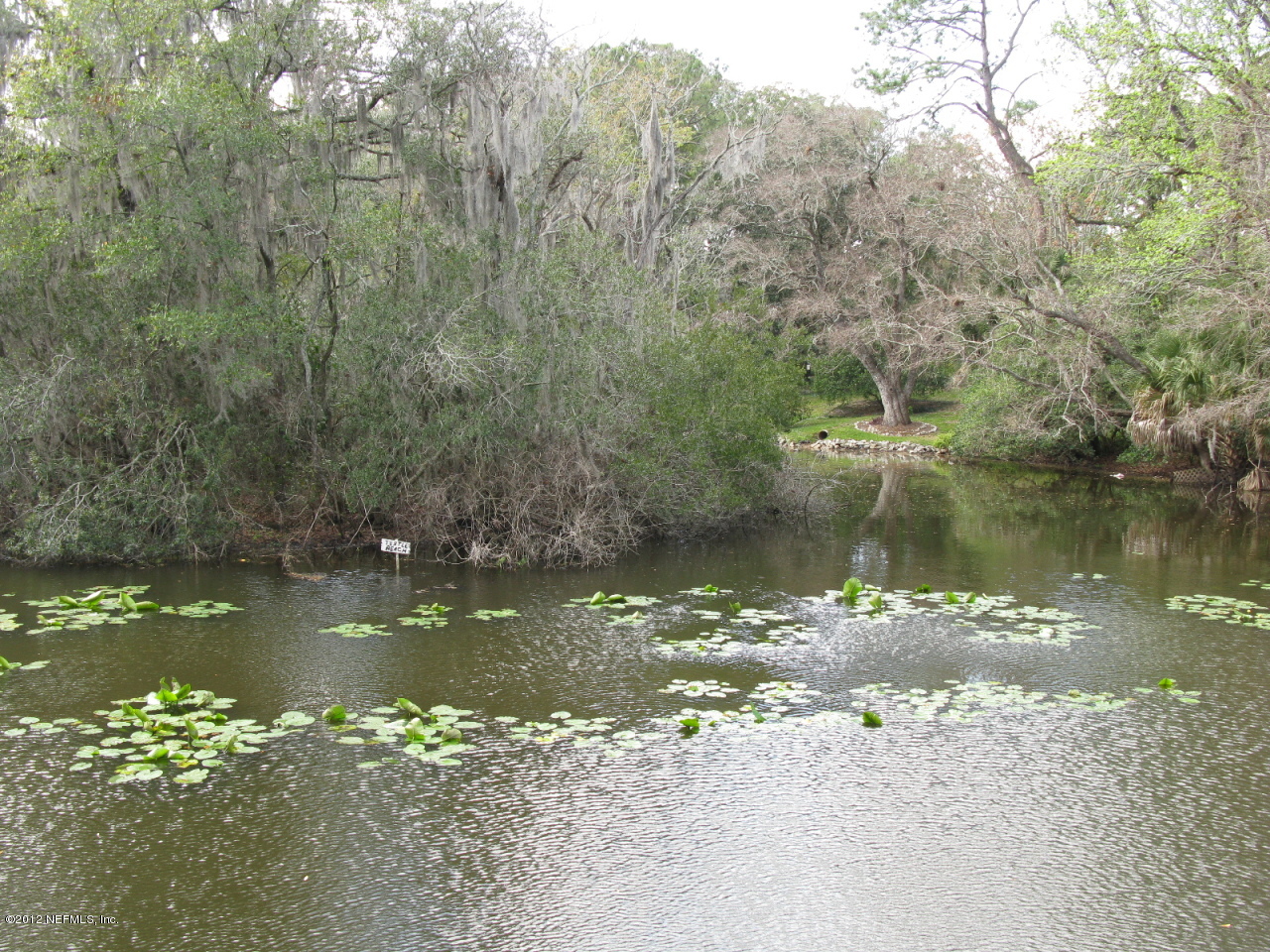 5428 Stanford Road Jacksonville, FL 32207 - Photo 5 of 20 a view of a lake with a forest