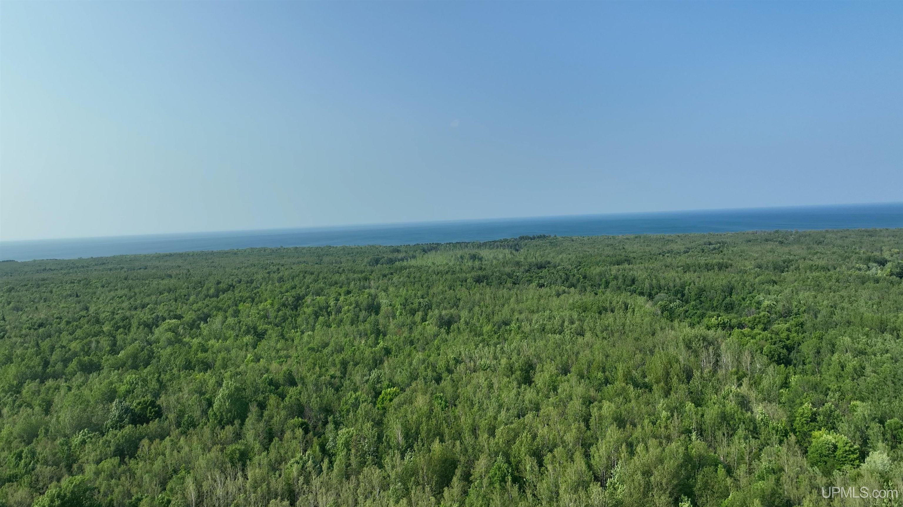 Tbd Curlew Road Ontonagon, MI 49953 - Photo 6 of 36