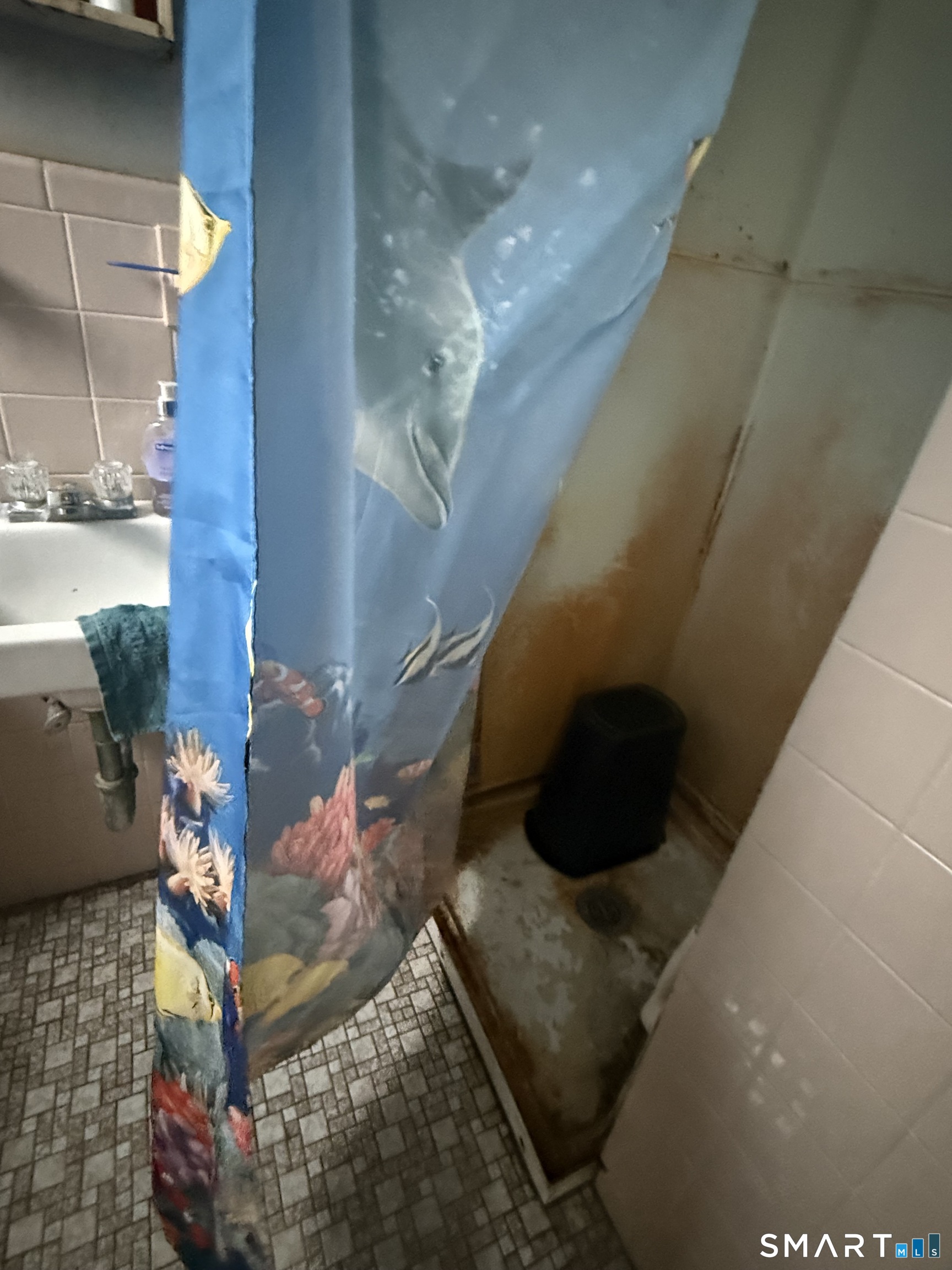 169 James Street New Haven, CT 06513 - Photo 4 of 30