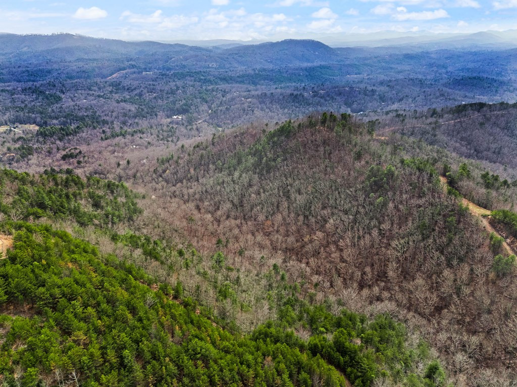 13-acres American Eagle Road Murphy, NC 28906 - Photo 13 of 17