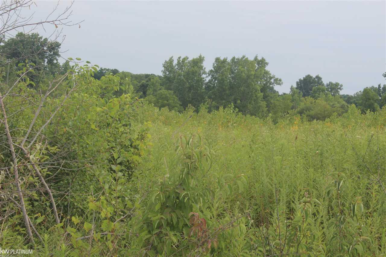 Nwc Nwc Ridge Canton, MI 48187 - Photo 26 of 28