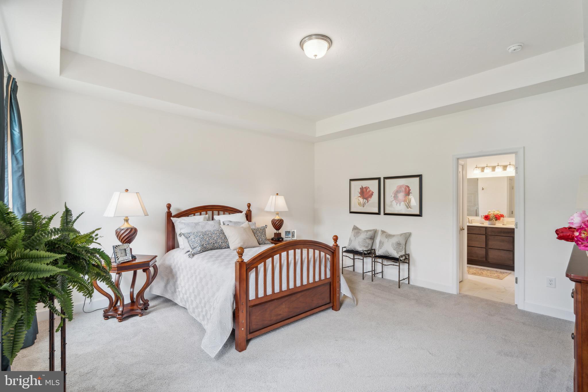 113 Flint Drive Hanover, PA 17331 - Photo 18 of 20 a bedroom with furniture and a potted plant