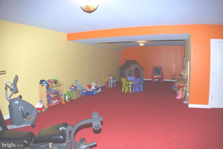 5231 Gunpowder Road Fairfax, VA 22030 - Photo 19 of 30 Recreation Room #3