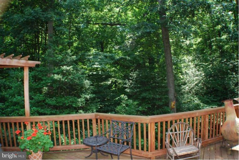 5231 Gunpowder Road Fairfax, VA 22030 - Photo 23 of 30 Deck - View from