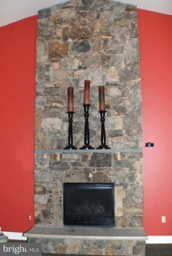 5231 Gunpowder Road Fairfax, VA 22030 - Photo 8 of 30 Fireplace