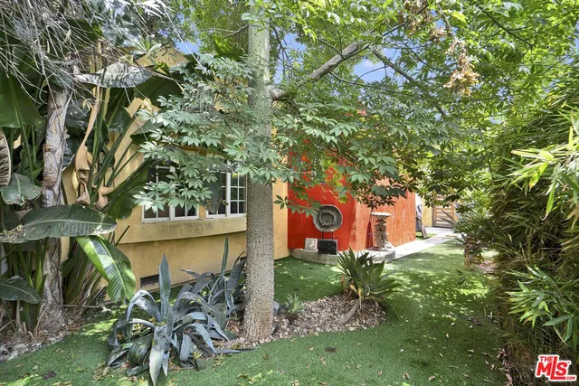 a view of a yard with plants and a tree