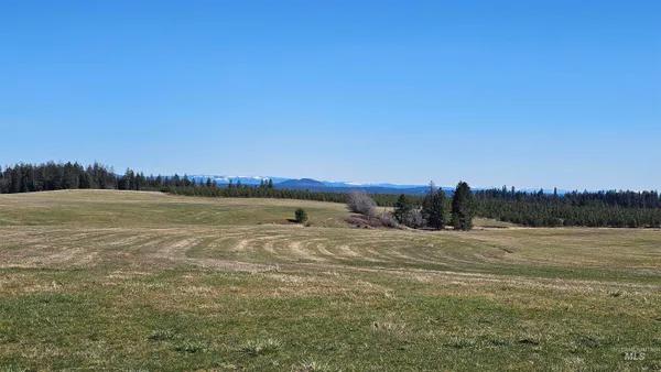 $285,000 | 0 Silver Lane, Lenore, ID 83541