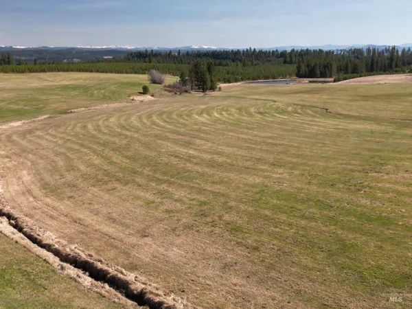 $285,000 | 0 Silver Lane, Lenore, ID 83541