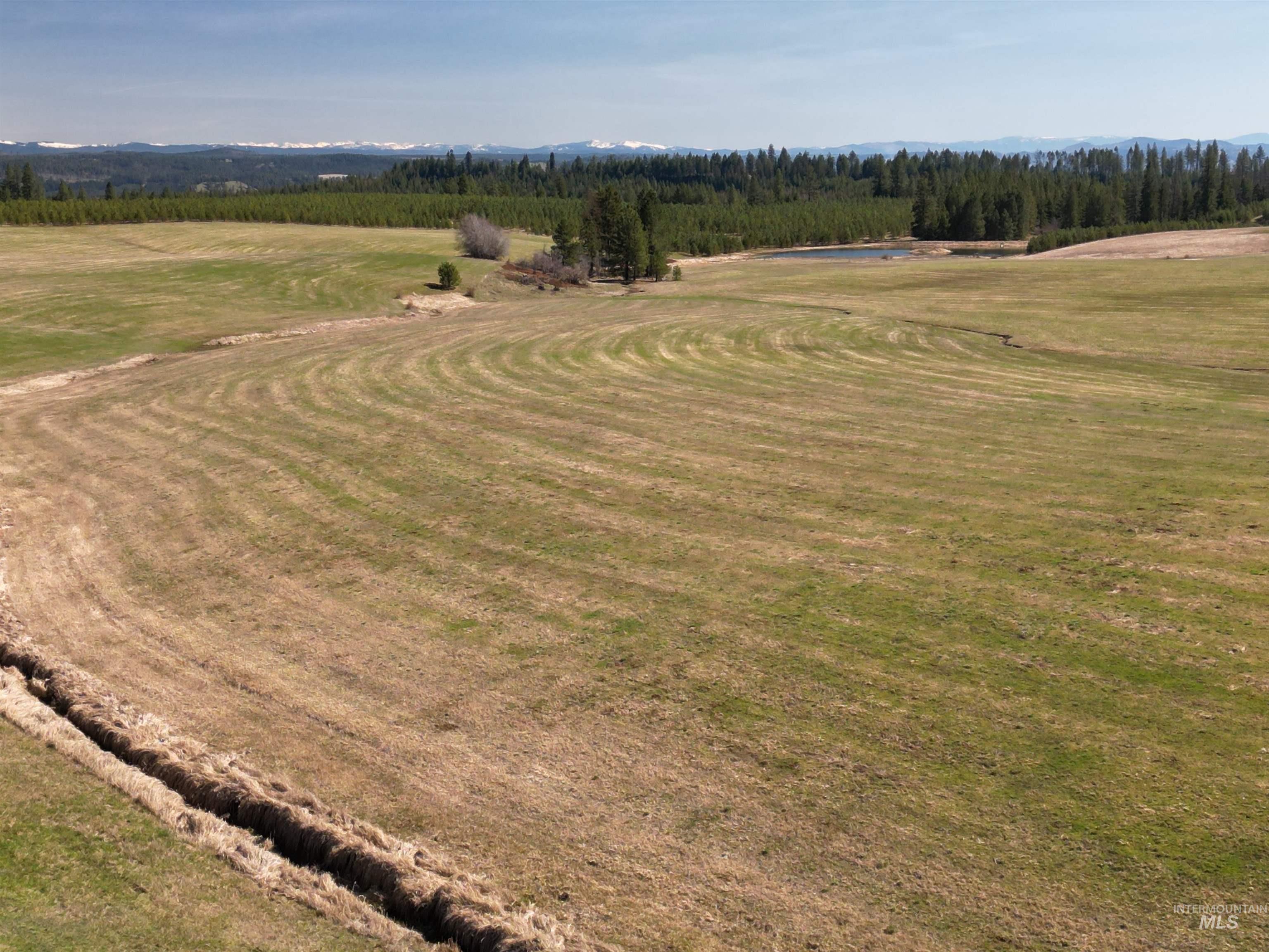 0 Silver Lane Lenore, ID 83541 - Photo 13 of 23