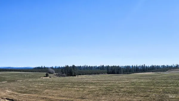 $285,000 | 0 Silver Lane, Lenore, ID 83541