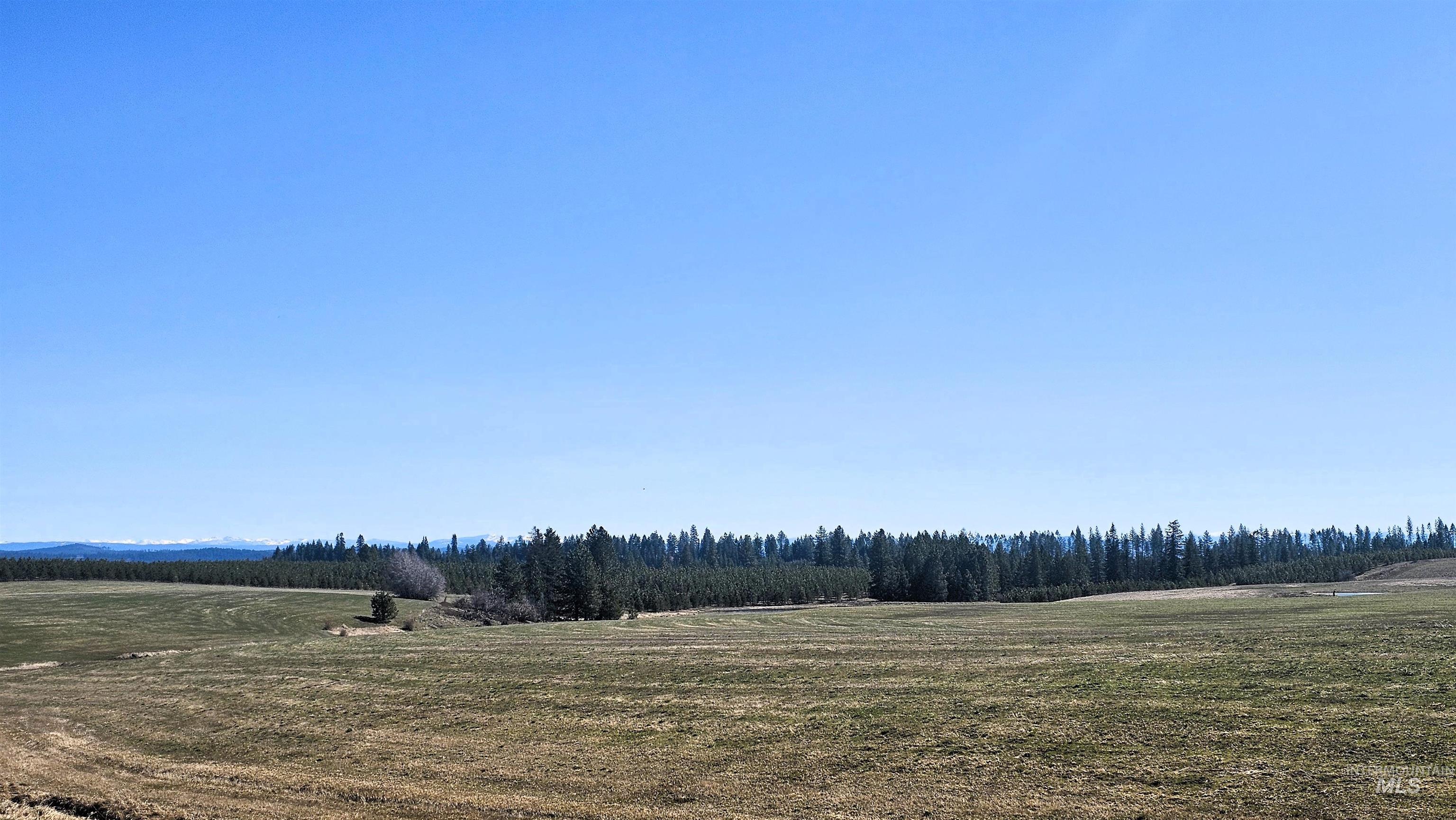 0 Silver Lane Lenore, ID 83541 - Photo 19 of 23