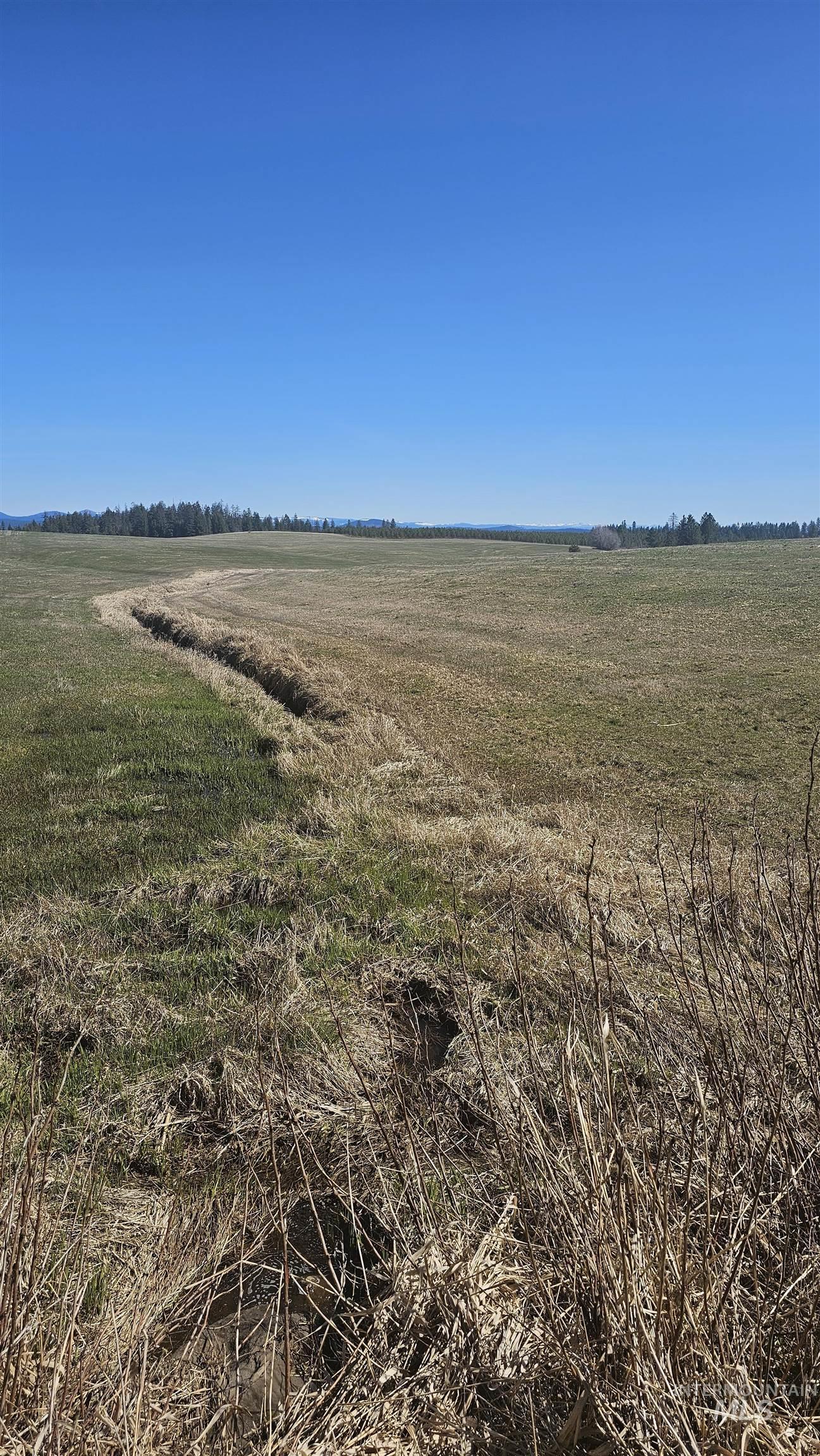 0 Silver Lane Lenore, ID 83541 - Photo 21 of 23