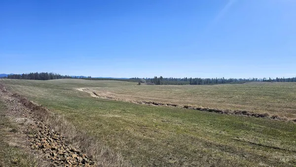 $285,000 | 0 Silver Lane, Lenore, ID 83541