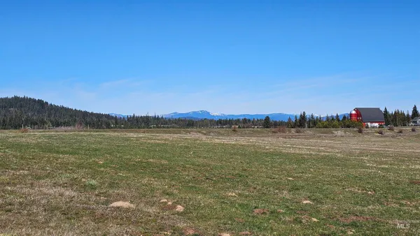 $285,000 | 0 Silver Lane, Lenore, ID 83541