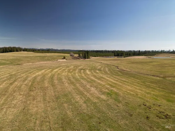 $285,000 | 0 Silver Lane, Lenore, ID 83541