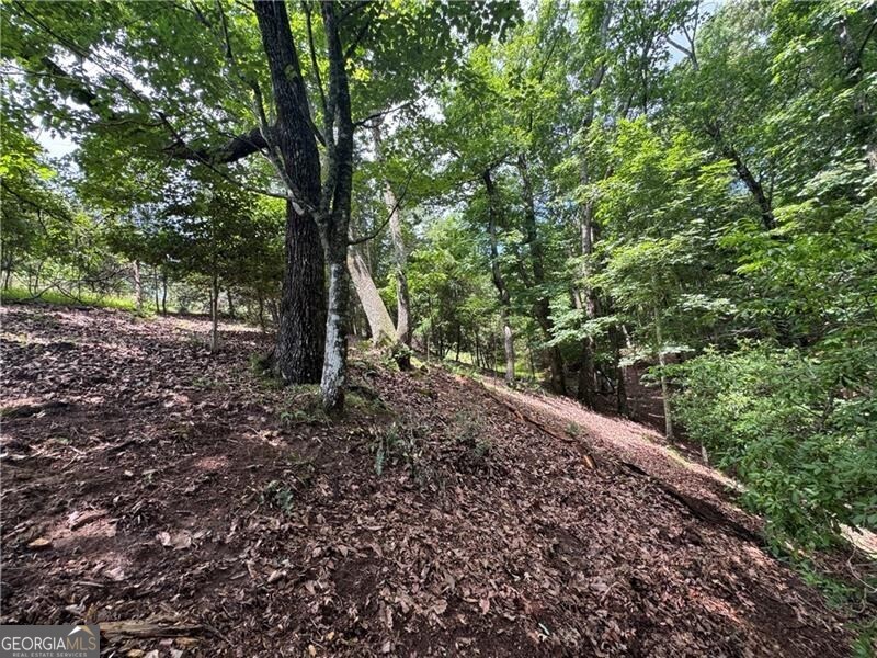 0 Ben Higgins Road Dahlonega, GA 30533 - Photo 14 of 21