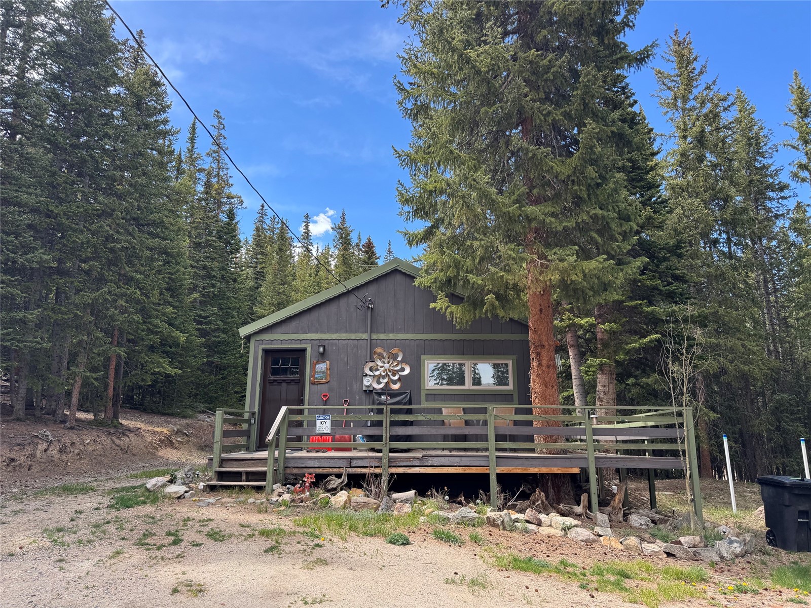 219 Ansley Road Alma, CO 80420 - Photo 2 of 18