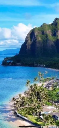 $2,800 | 51-170 Kamehameha Highway, Kaaawa, HI 96730