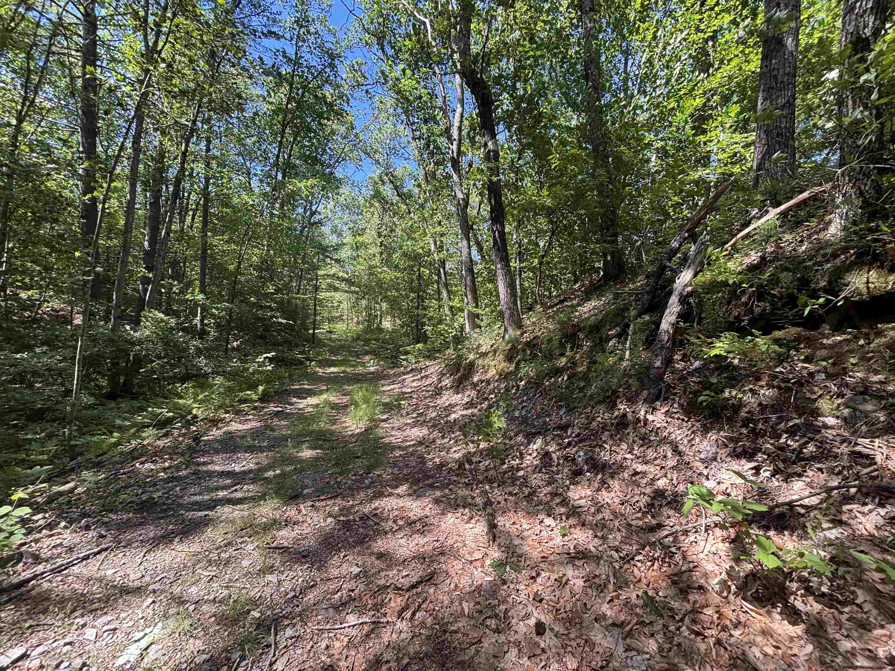 0 Windfall Road Northfield, NH 03276 - Photo 9 of 10