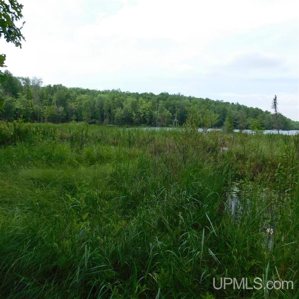 Tbd Reisner Lake Road, Unit 4 5 & 6 Long Lake, WI 54542 - Photo 3 of 9