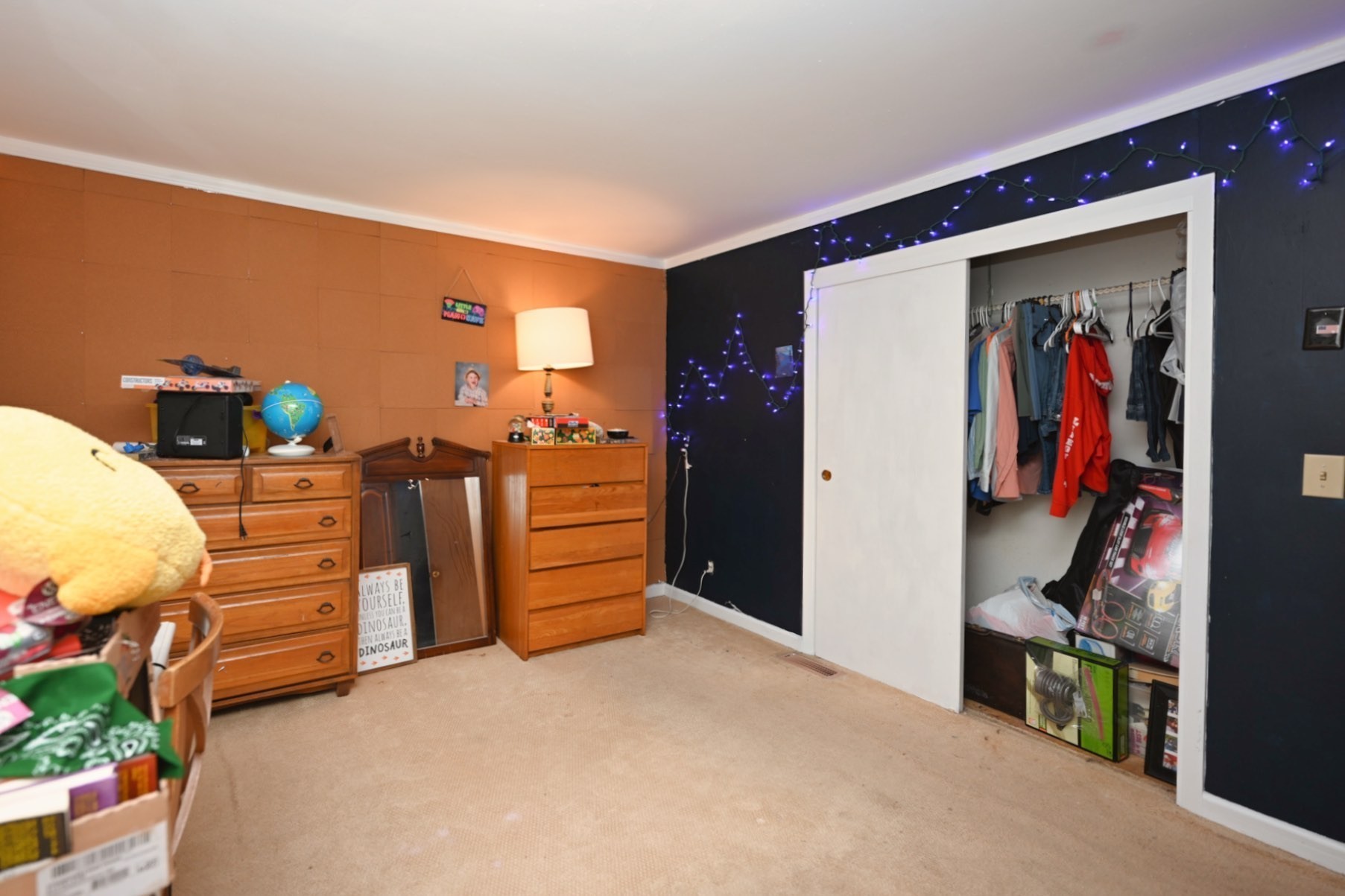 4411 Jackson Road Whites Creek, TN 37189 - Photo 21 of 63 a bedroom with furniture and closet