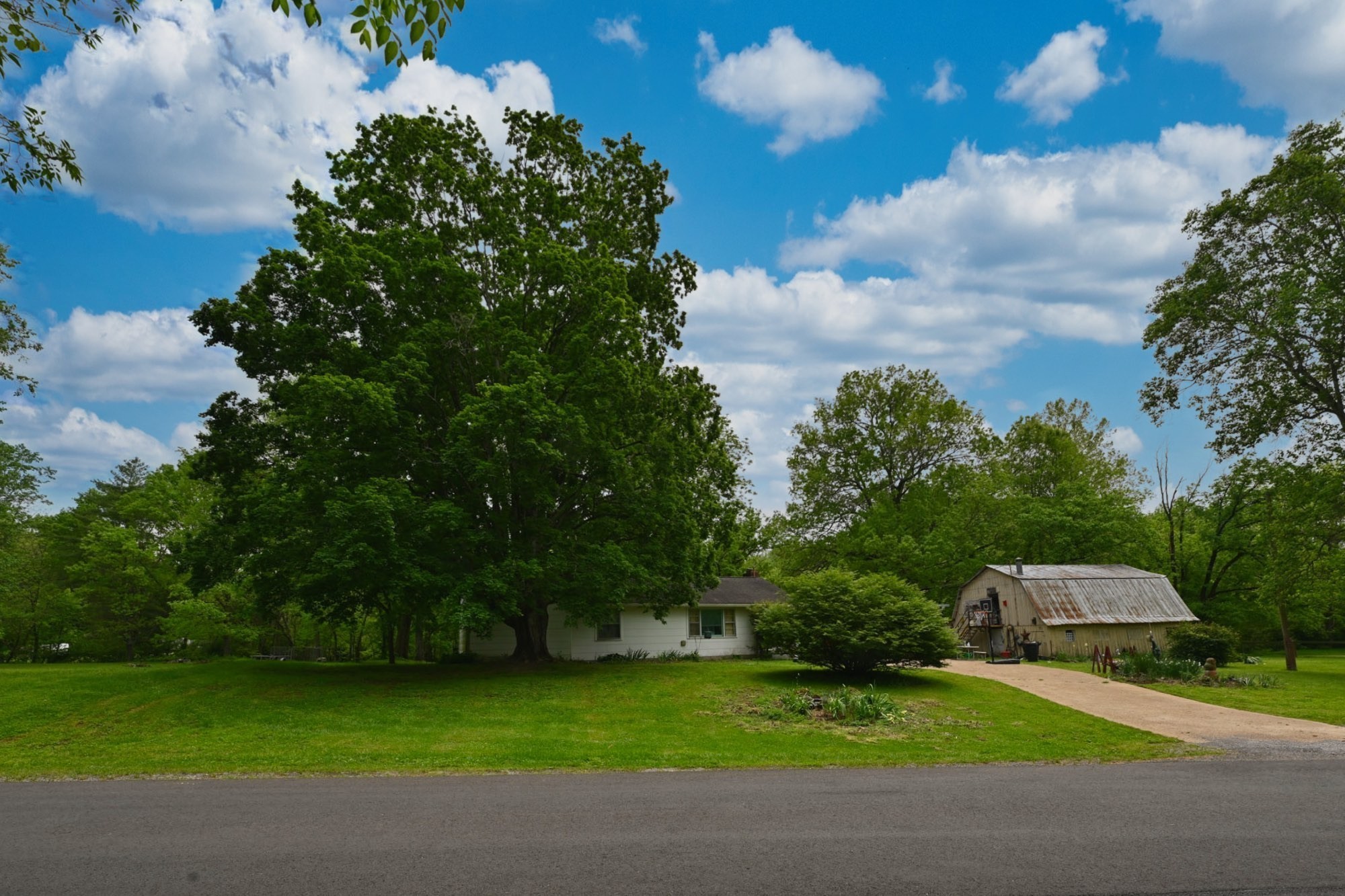 4411 Jackson Road Whites Creek, TN 37189 - Photo 26 of 63 a backyard of a house with lots of green space