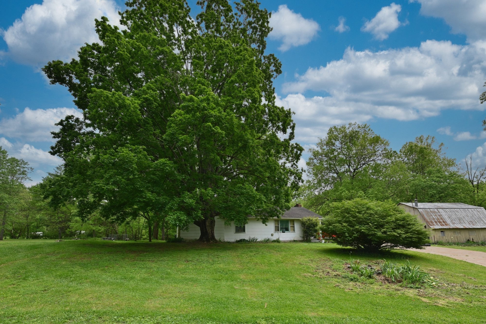 4411 Jackson Road Whites Creek, TN 37189 - Photo 27 of 63 a view of a garden