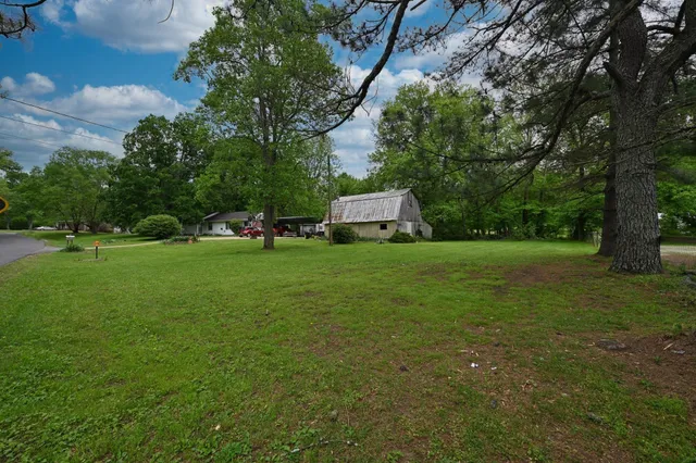 a view of a trees in a park