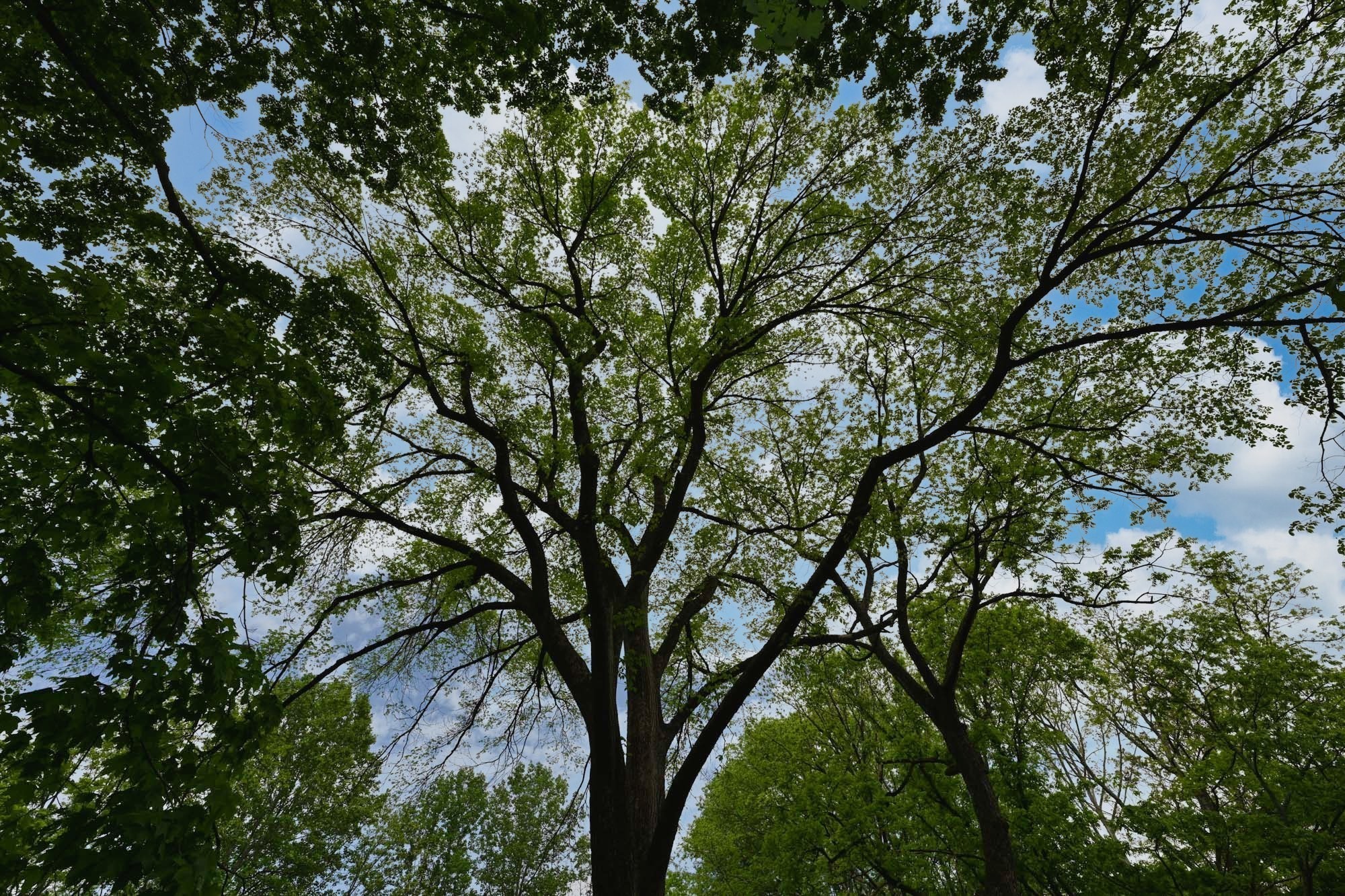 4411 Jackson Road Whites Creek, TN 37189 - Photo 33 of 63