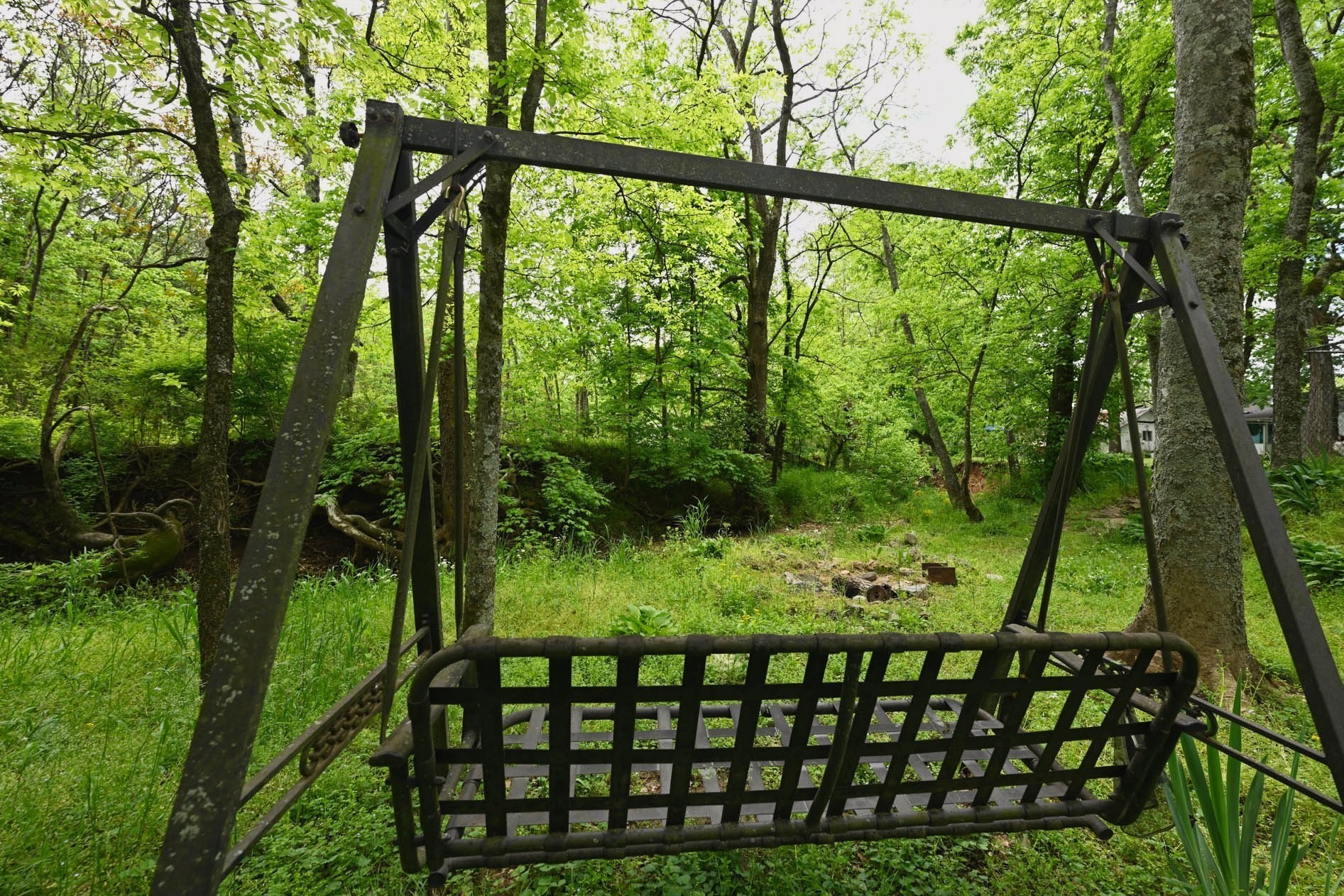 4411 Jackson Road Whites Creek, TN 37189 - Photo 34 of 63 a view of a yard