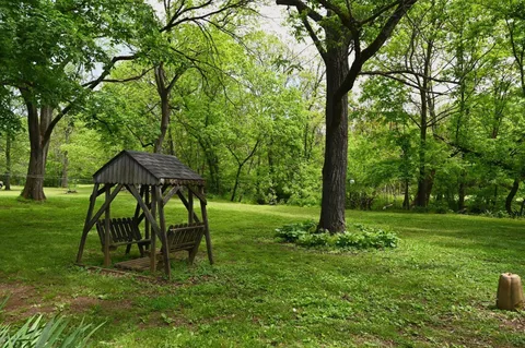 a view of a lush green forest with trees and some houses
