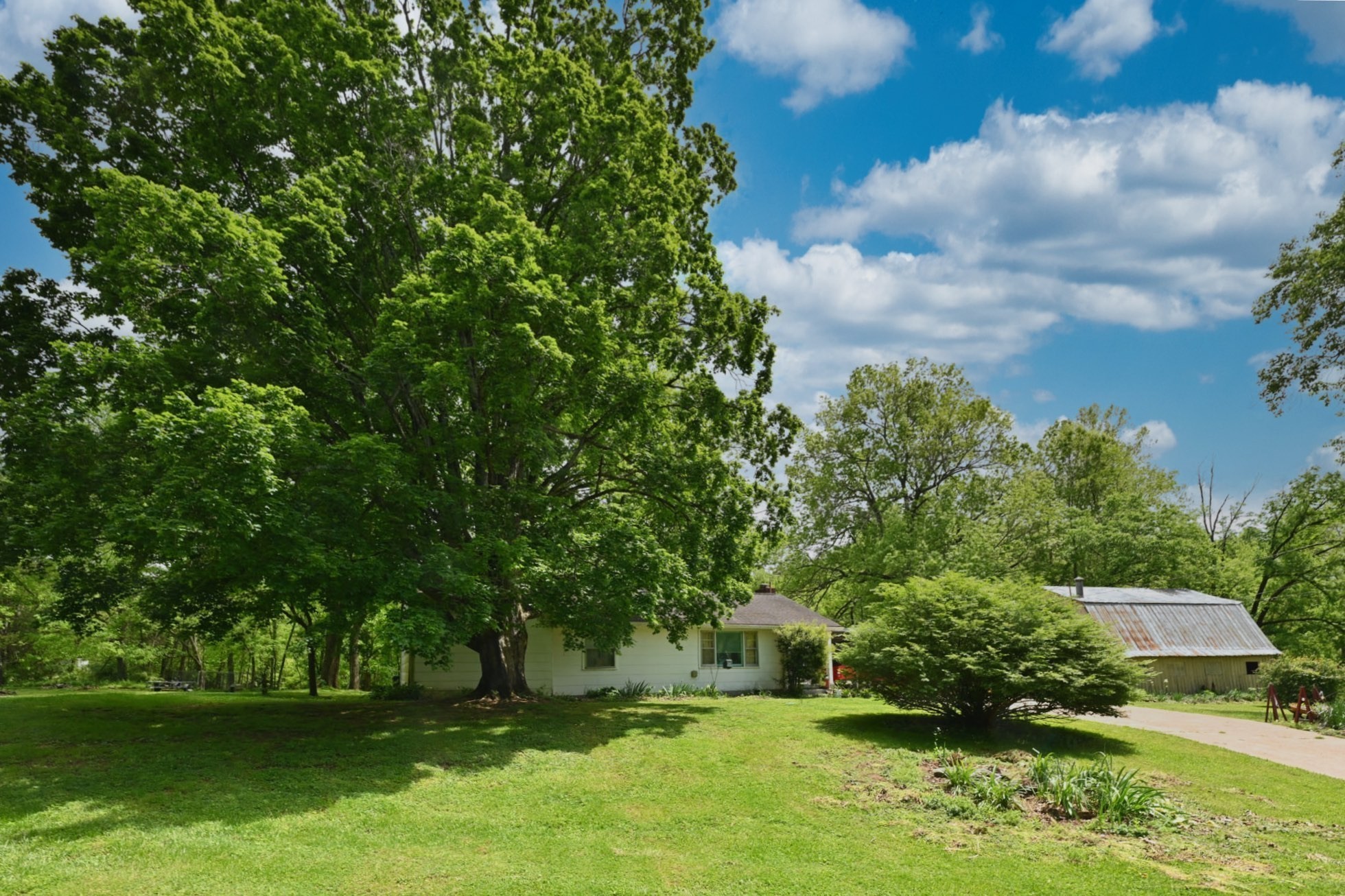 4411 Jackson Road Whites Creek, TN 37189 - Photo 39 of 63 a view of outdoor space with deck and yard