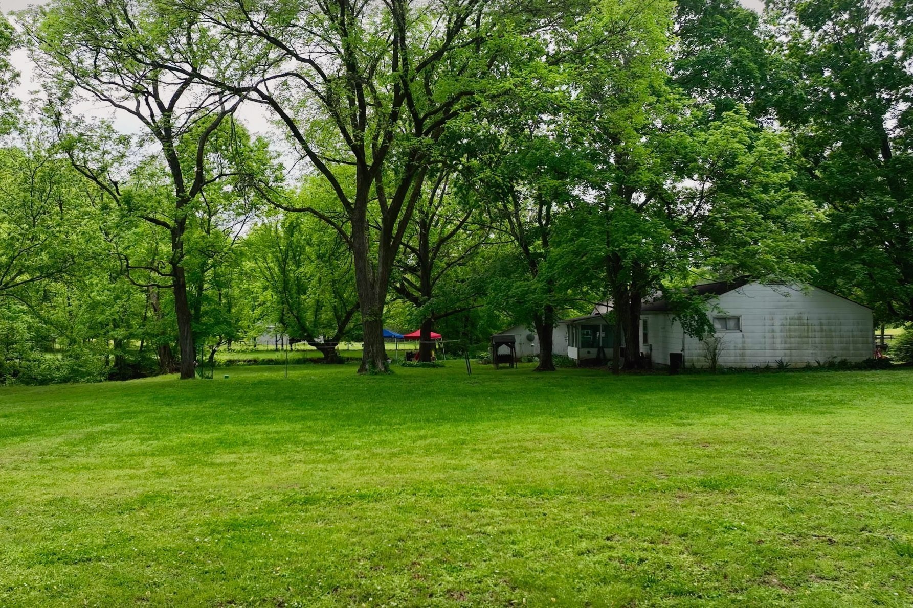 4411 Jackson Road Whites Creek, TN 37189 - Photo 41 of 63 a view of a trees in a park