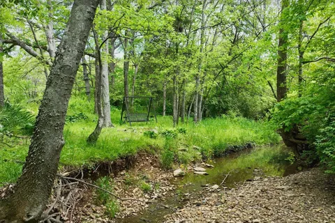 a view of a house with a yard plants and large tree