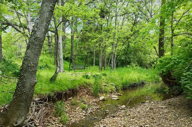 a view of a house with a yard plants and large tree