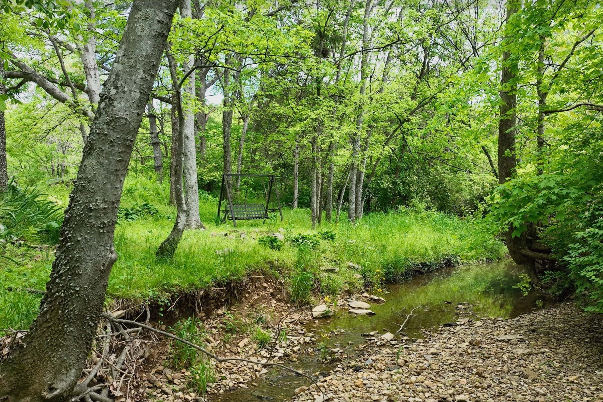 4411 Jackson Road Whites Creek, TN 37189 - Photo 43 of 63 a view of outdoor space and a yard