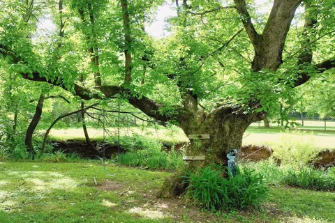 $394,900 | 4411 Jackson Road, Whites Creek, TN 37189