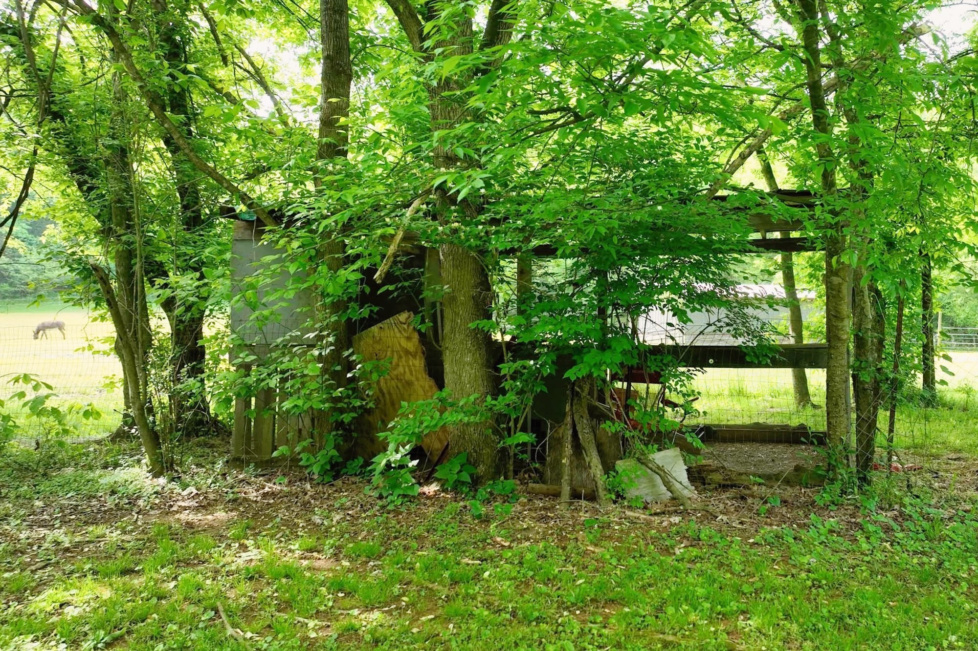 4411 Jackson Road Whites Creek, TN 37189 - Photo 62 of 63 a view of yard