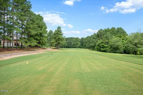 a view of a field of grass and trees