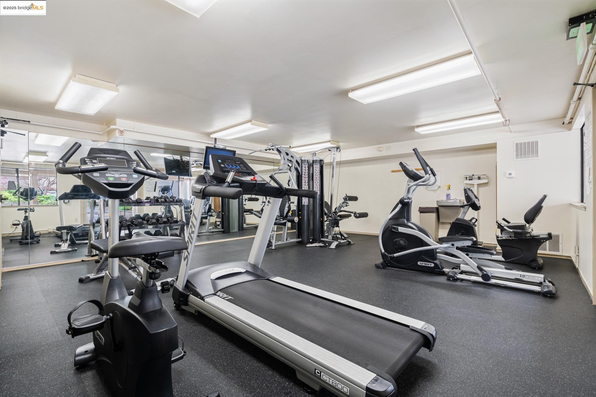 545 Pierce Street, Unit 1206 Albany, CA 94706 - Photo 41 of 44 a view of a room with gym equipment