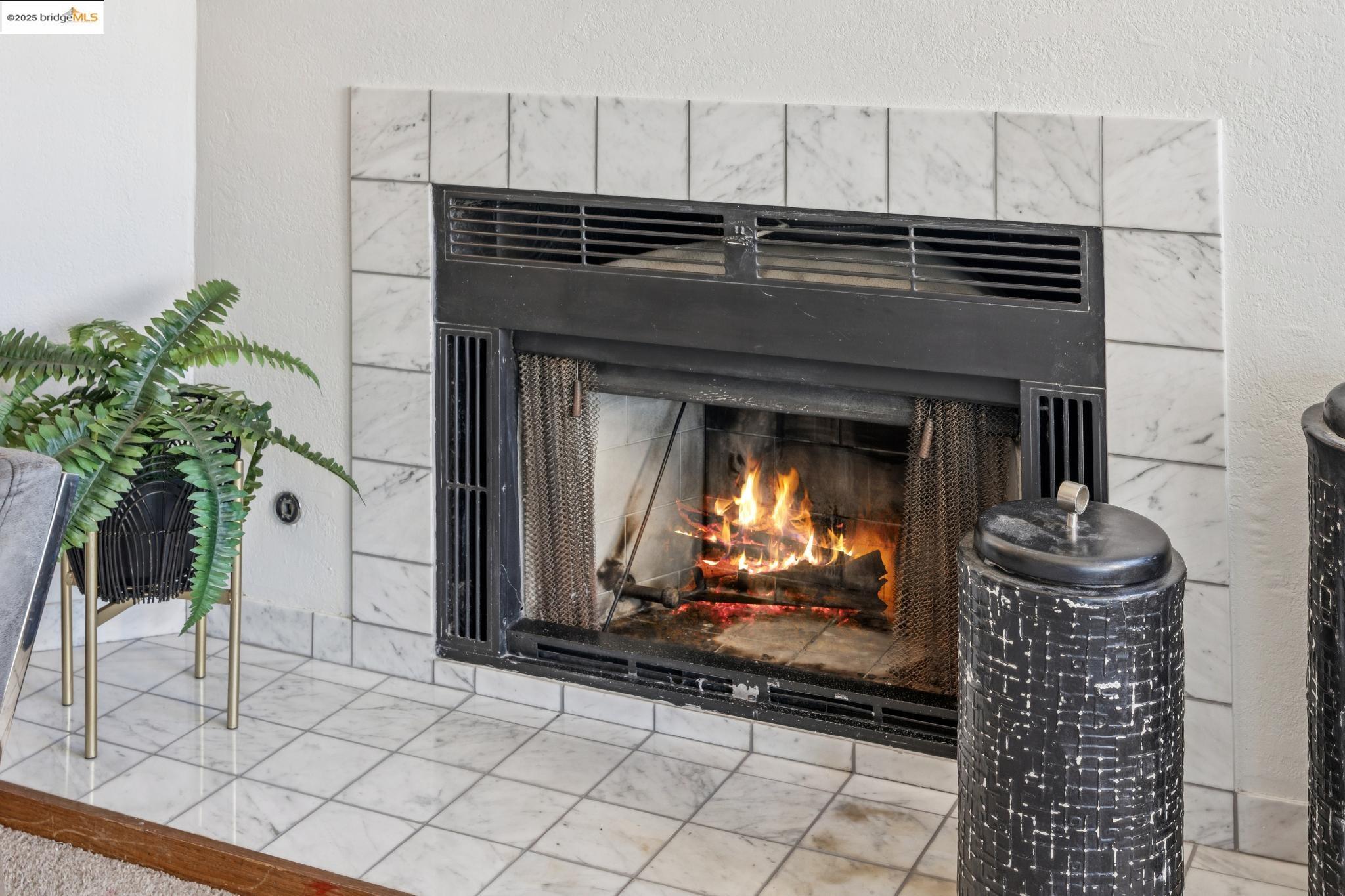 545 Pierce Street, Unit 1206 Albany, CA 94706 - Photo 7 of 44 a close view of fireplace