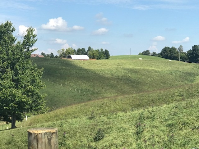 685 Rosedale Road Morehead, KY 40351 - Photo 20 of 22 Gallery Image 20