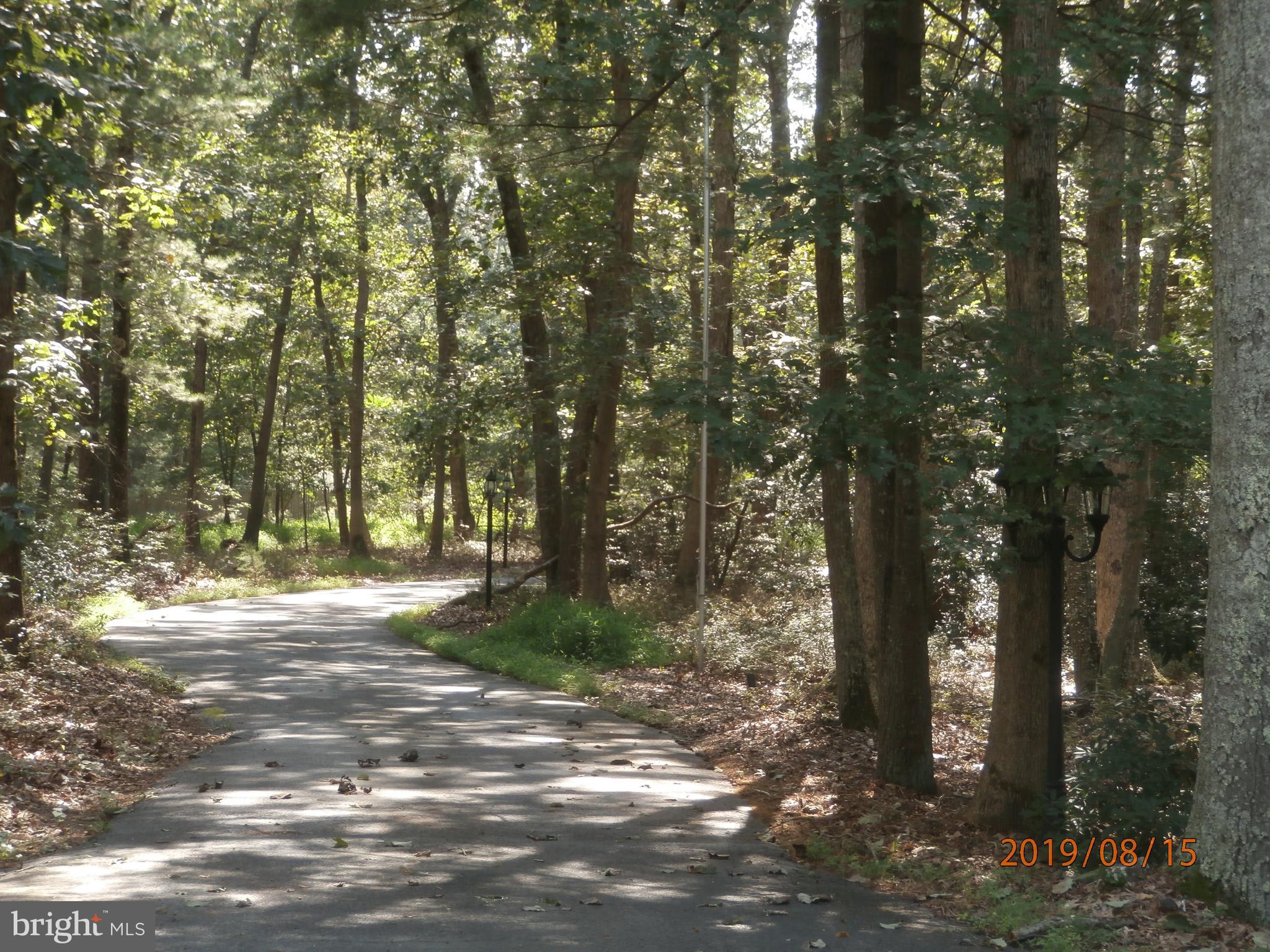 317 Carranza Road Tabernacle, NJ 08088 - Photo 2 of 52 Your Lighted Asphalt Lane