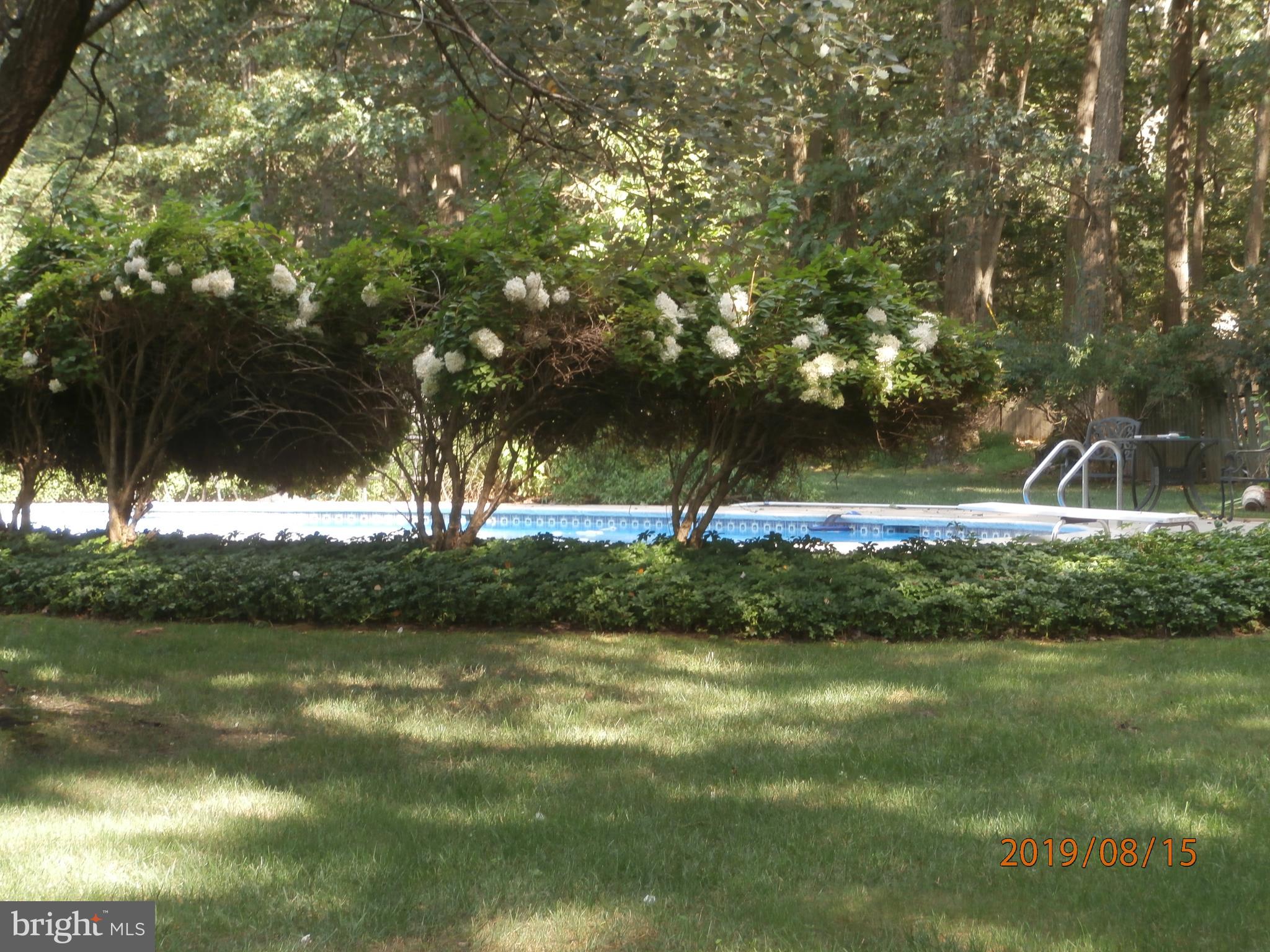 317 Carranza Road Tabernacle, NJ 08088 - Photo 38 of 52 Pool View Side Lawn Area