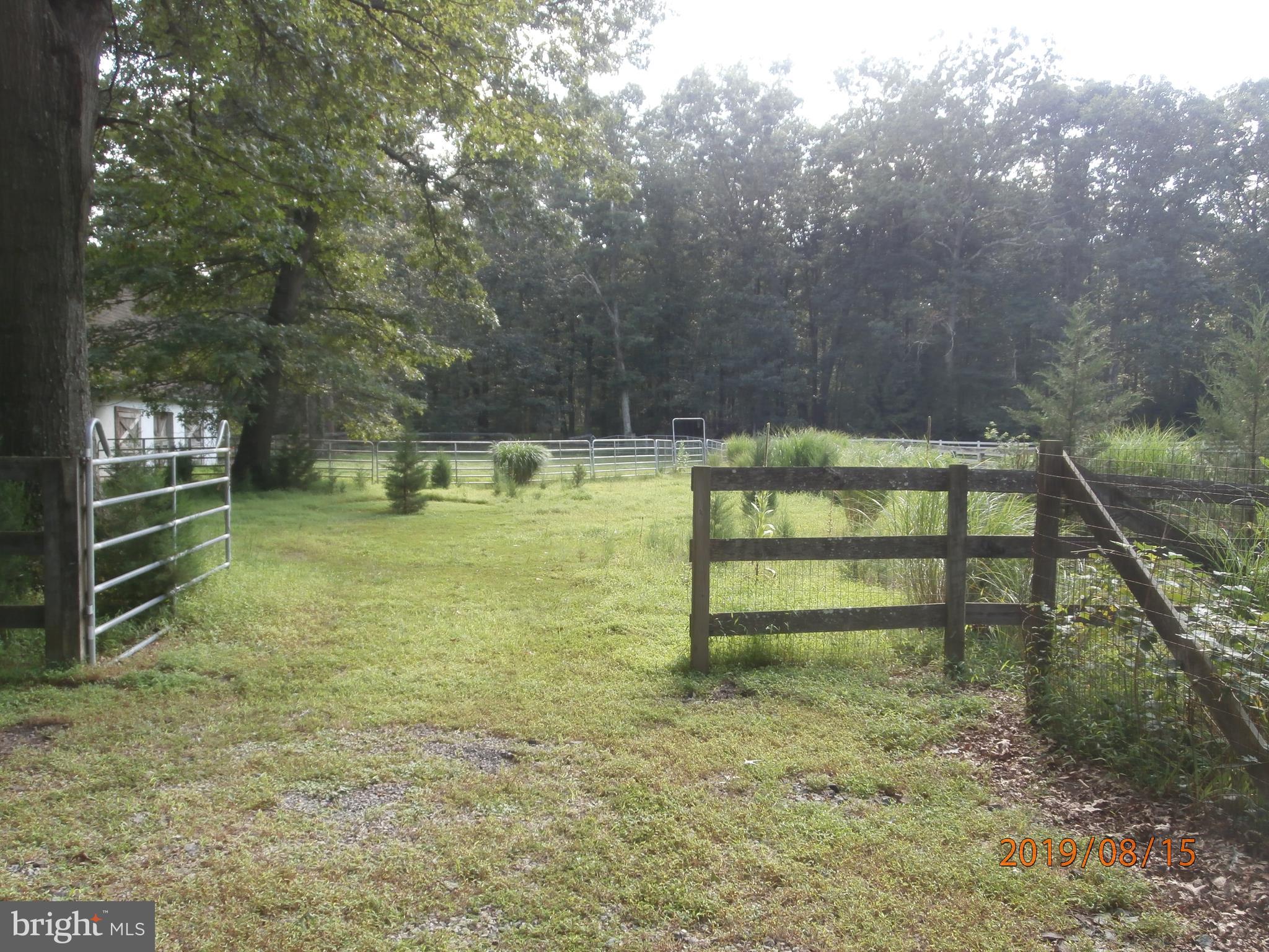317 Carranza Road Tabernacle, NJ 08088 - Photo 44 of 52 Pasture Area Entry