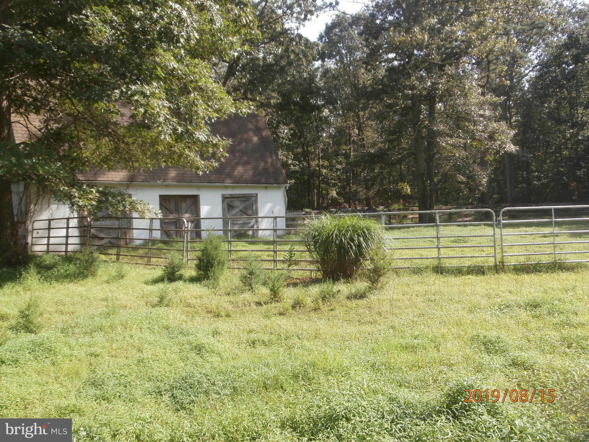 317 Carranza Road Tabernacle, NJ 08088 - Photo 46 of 52 Pasture View of Stable