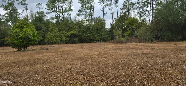 $39,900 | 4561 Basswood Road, Greenwood, FL 32443